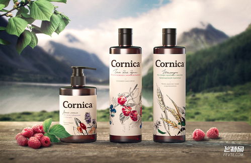 质感复古风格洗发水包装设计 重塑化妆品与卫生用品的视觉魅力
